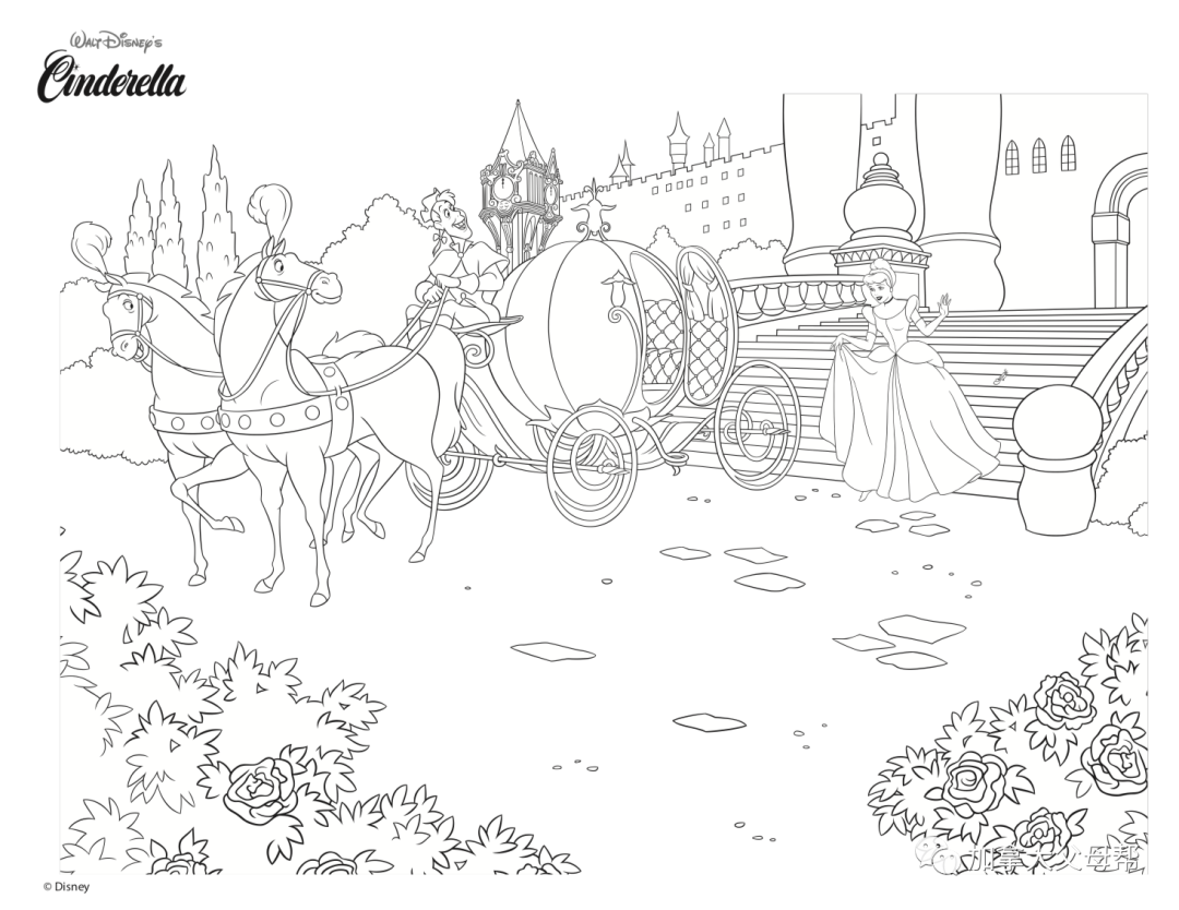 K-12年级免费作业下载网站大全：小盆友，叫一下你妈妈！