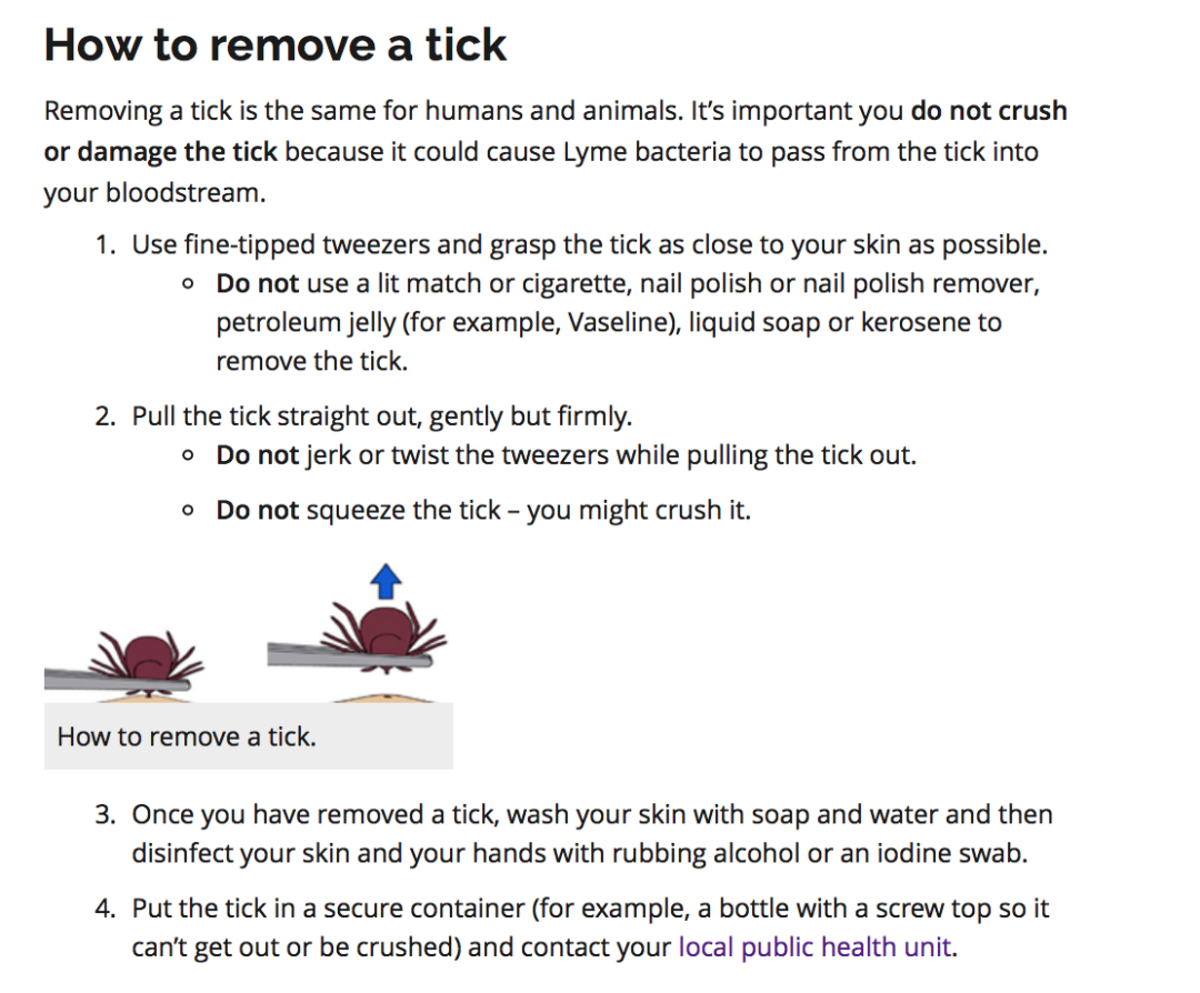 孩子被咬一口就全身麻痹瘫痪，这种吸血小虫又回归土狼屯！