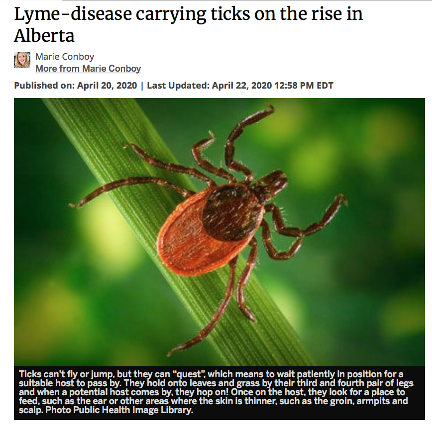 孩子被咬一口就全身麻痹瘫痪，这种吸血小虫又回归土狼屯！