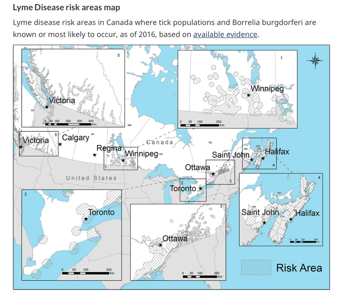 孩子被咬一口就全身麻痹瘫痪，这种吸血小虫又回归土狼屯！