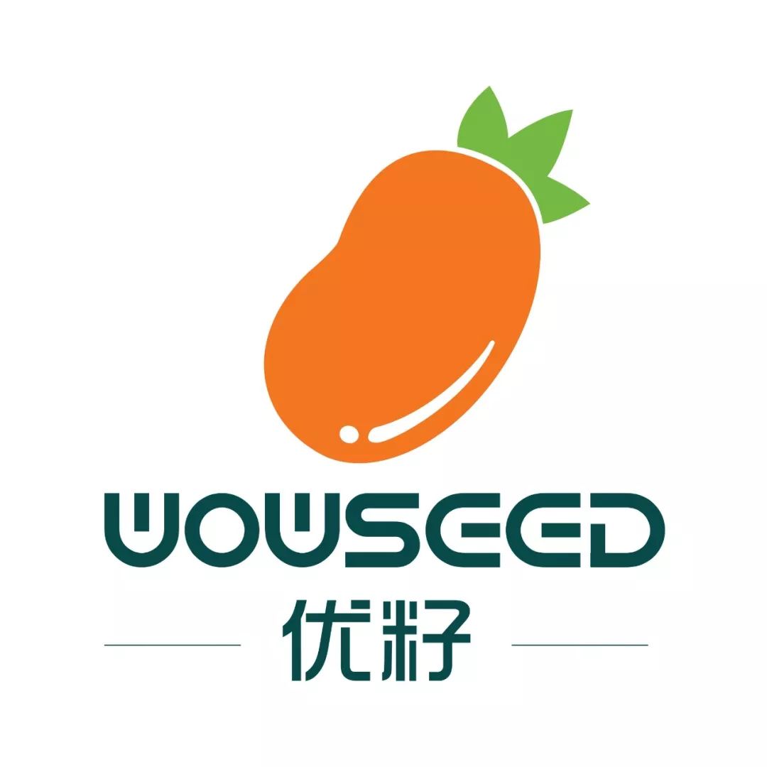 2019年《纽约时报》最佳儿童绘本