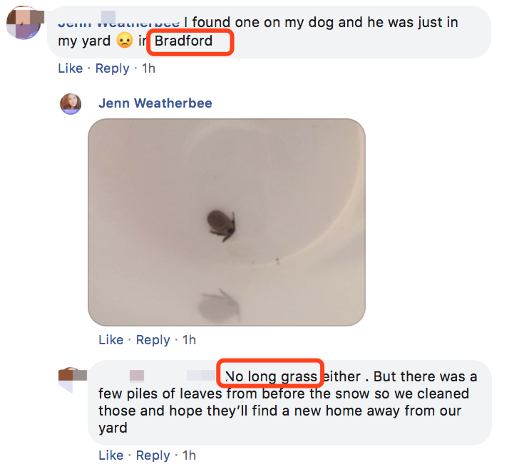 孩子被咬一口就全身麻痹瘫痪，这种吸血小虫又回归土狼屯！