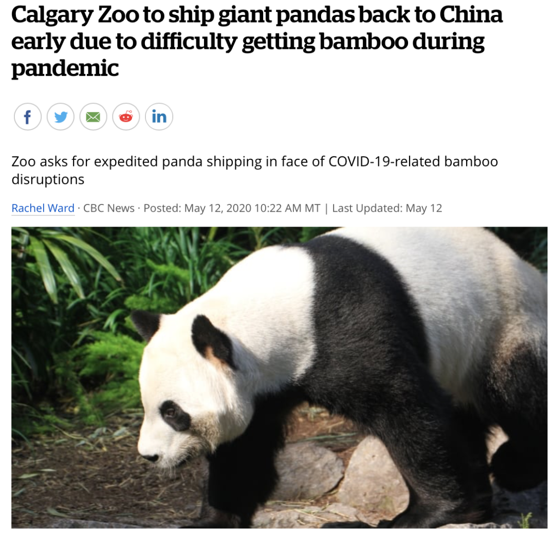 动物们太无聊了，想看看你！多伦多动物园启动开车游园
