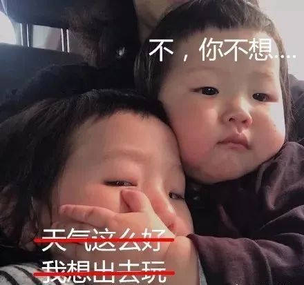 终于可以遛娃了:丛林探险、农场采水果、车游动物园...码住收藏! 终于可以遛娃了:丛林探险、农场采水果、车游动物园...码住收藏!