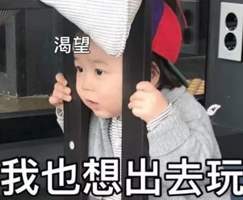 终于可以遛娃了：丛林探险、农场采水果、车游动物园...码住收藏！