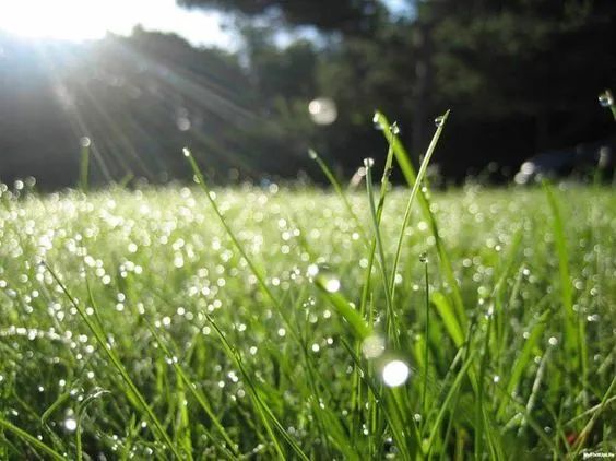 吃货必备！大统华夏日必败零食！