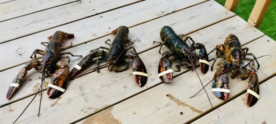 【开箱亲测】大统华24小时生鲜到家:鲜!活!好吃!我可以! 【开箱亲测】大统华24小时生鲜到家:鲜!活!好吃!我可以!