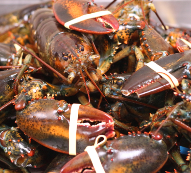 【开箱亲测】大统华24小时生鲜到家:鲜!活!好吃!我可以! 【开箱亲测】大统华24小时生鲜到家:鲜!活!好吃!我可以!