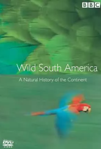 暑假一定要陪孩子看的14部自然地理记录片，开启孩子的七大洲之旅
