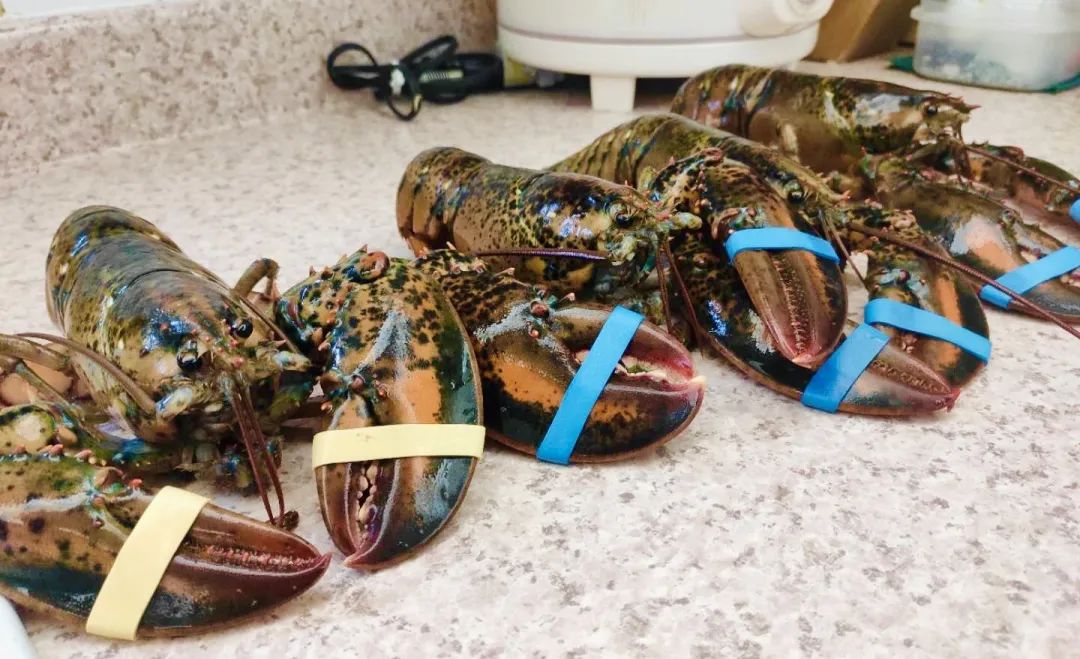 【开箱亲测】大统华24小时生鲜到家:鲜!活!好吃!我可以! 【开箱亲测】大统华24小时生鲜到家:鲜!活!好吃!我可以!