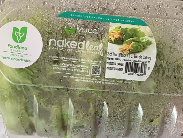 【吃货江湖】Costco这款网红神仙酱，惊艳了！草都能吃出彩虹味儿！