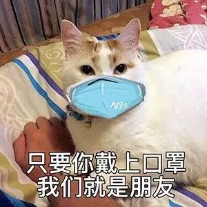 加拿大多个城市疫情二次爆发:病毒检测准确率只有65% 加拿大多个城市疫情二次爆发:病毒检测准确率只有65%