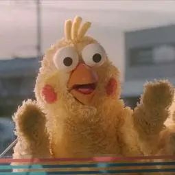 灯丝儿快来!多伦多动物园的“尸香魔芋”要开花了! 灯丝儿快来!多伦多动物园的“尸香魔芋”要开花了!