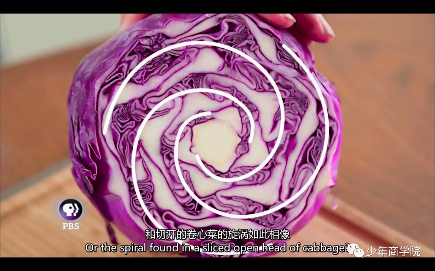 十部经典趣味数学纪录片，堪称欧美激发孩子数学思维的秘诀