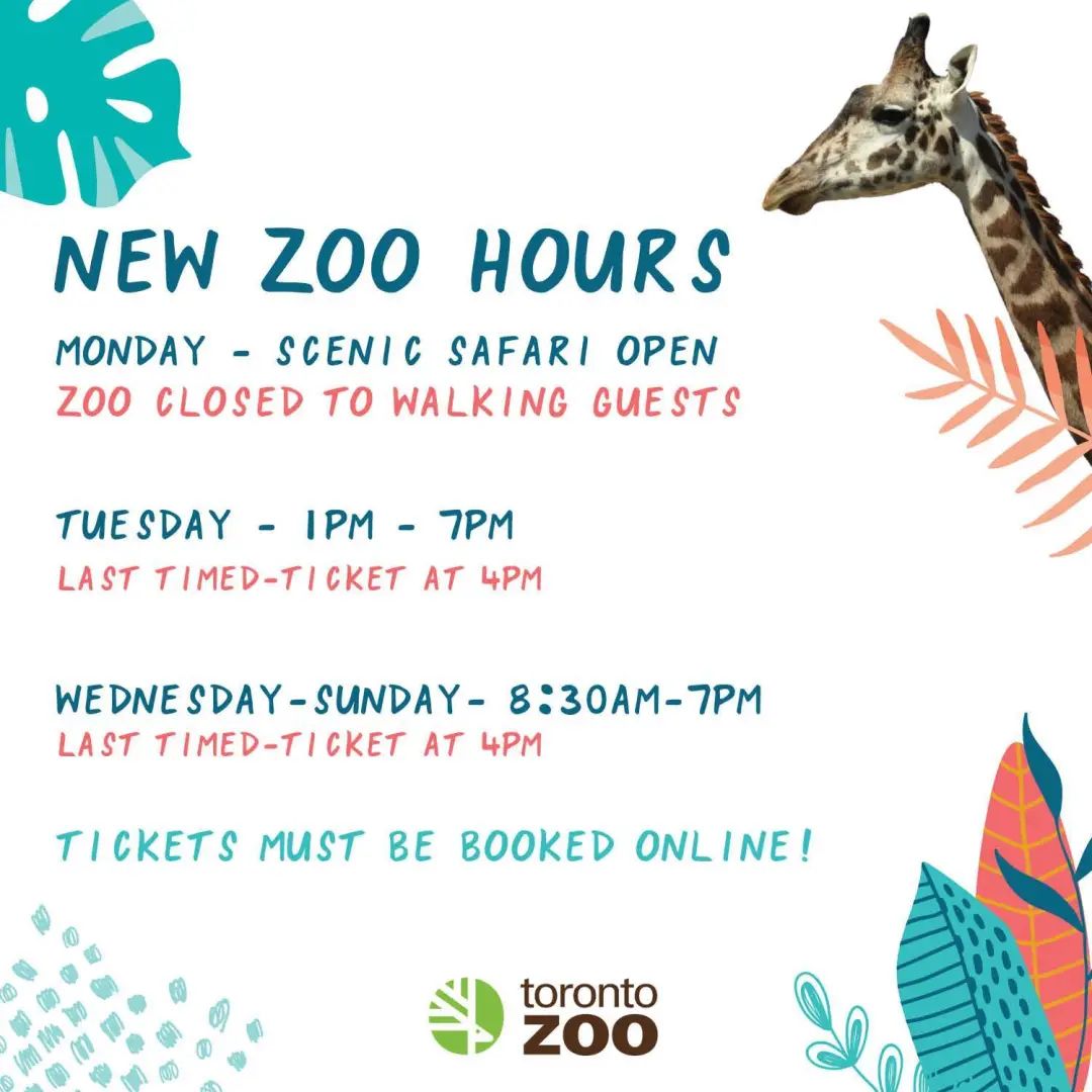 灯丝儿快来!多伦多动物园的“尸香魔芋”要开花了! 灯丝儿快来!多伦多动物园的“尸香魔芋”要开花了!