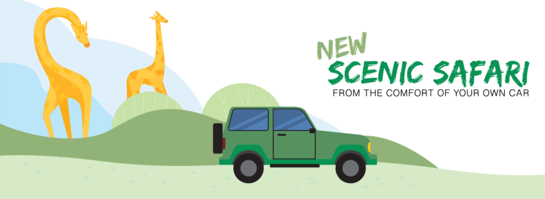 灯丝儿快来!多伦多动物园的“尸香魔芋”要开花了! 灯丝儿快来!多伦多动物园的“尸香魔芋”要开花了!