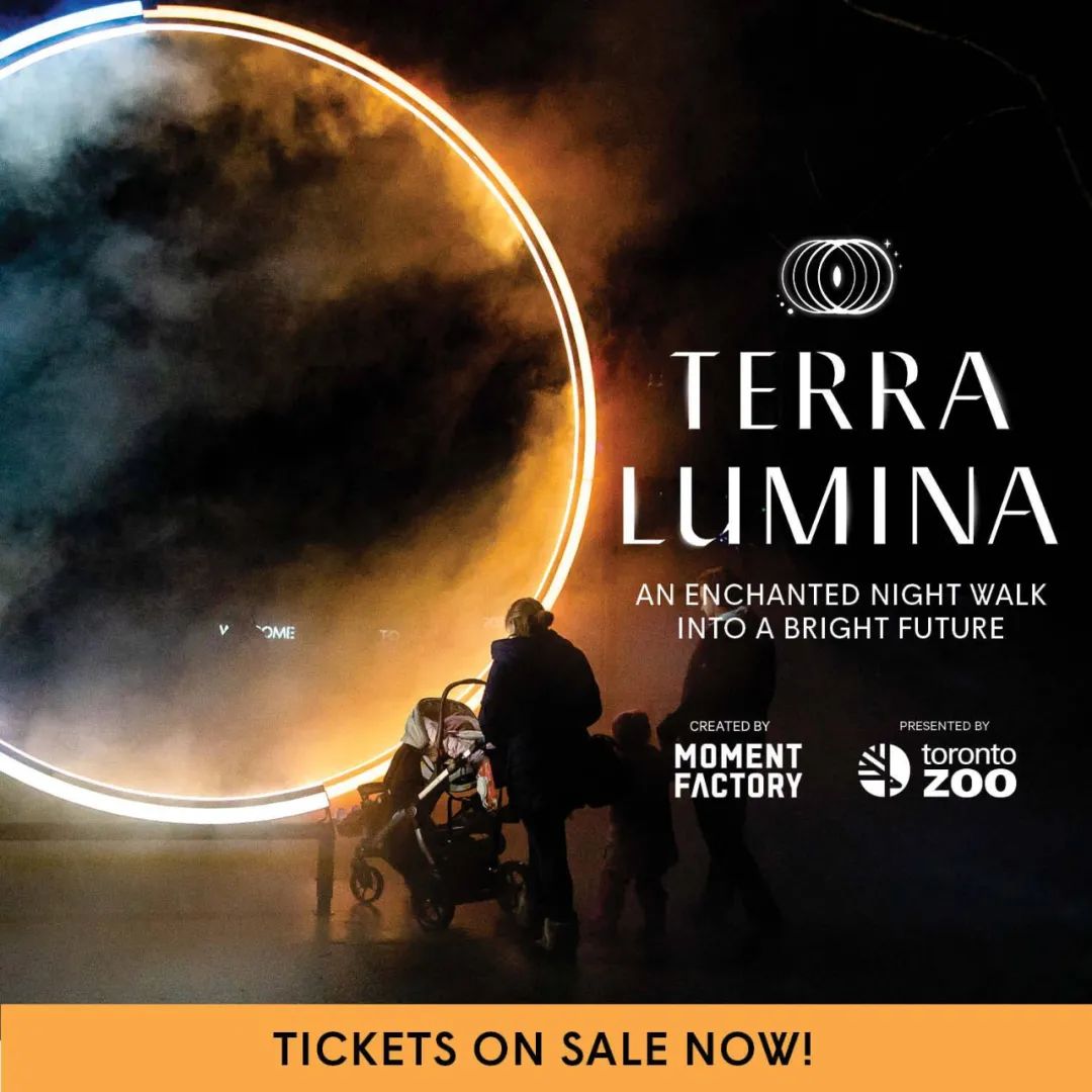 灯丝儿快来!多伦多动物园的“尸香魔芋”要开花了! 灯丝儿快来!多伦多动物园的“尸香魔芋”要开花了!