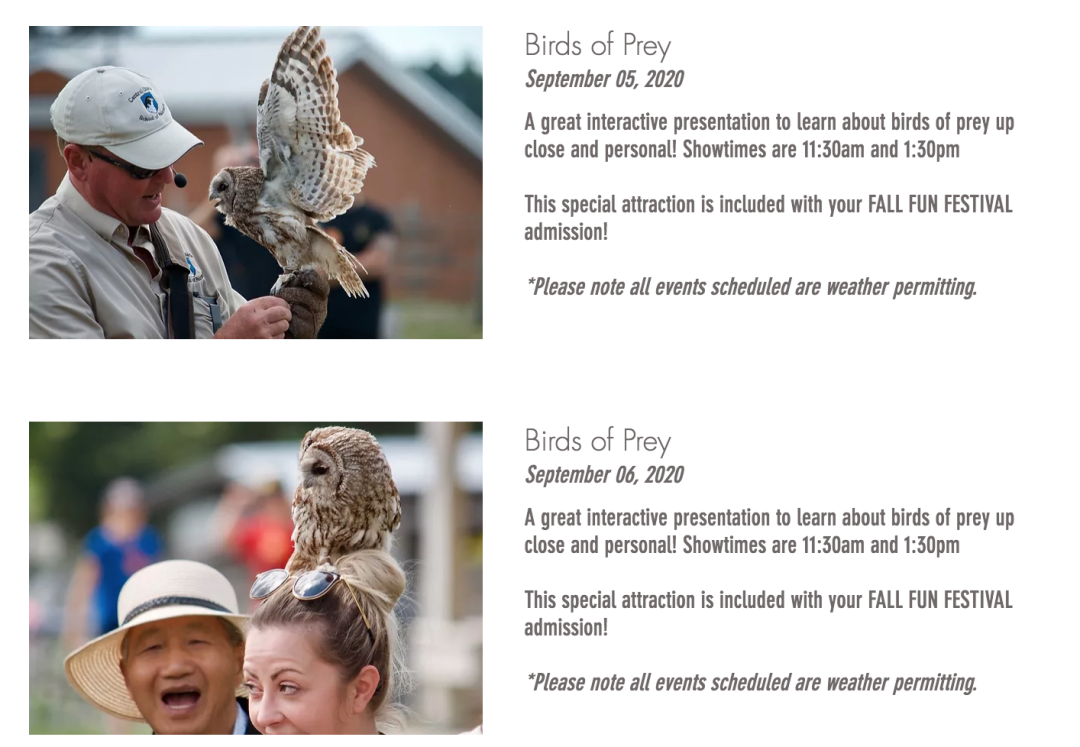 多伦多摘苹果农场盘点：Brooks Farm妥妥C位！周周有主题！