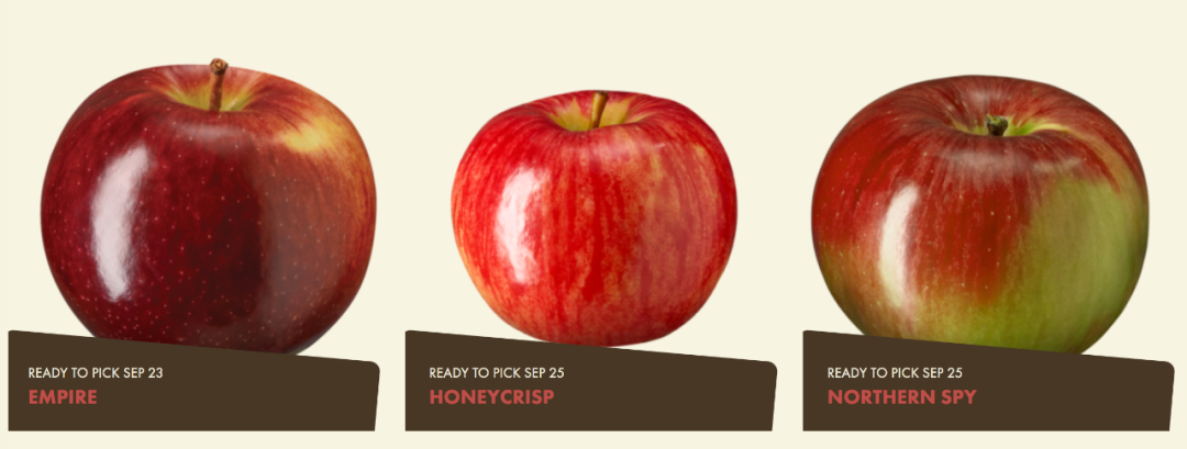 多伦多摘苹果农场盘点：Brooks Farm妥妥C位！周周有主题！