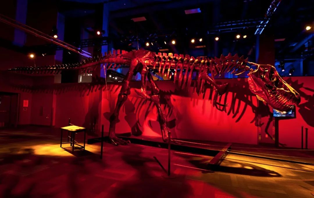 嗷嗷！娃最爱的安省科技馆带着大恐龙回来了！