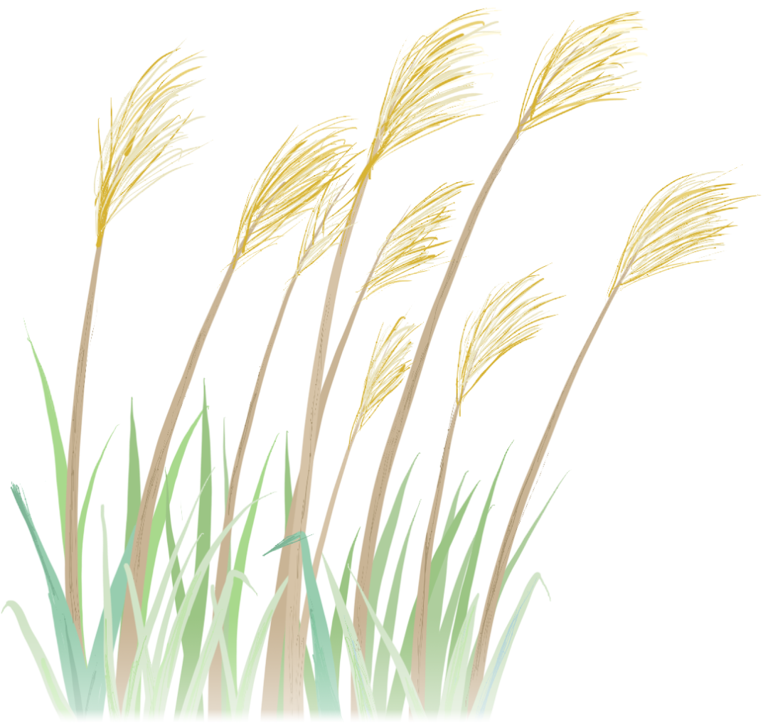 不过瘾？撒钱继续！集印花！送红包！支付宝又壕了！