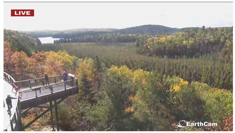 去早了绿，去晚了秃：阿岗昆最美的枫景怎么赏？