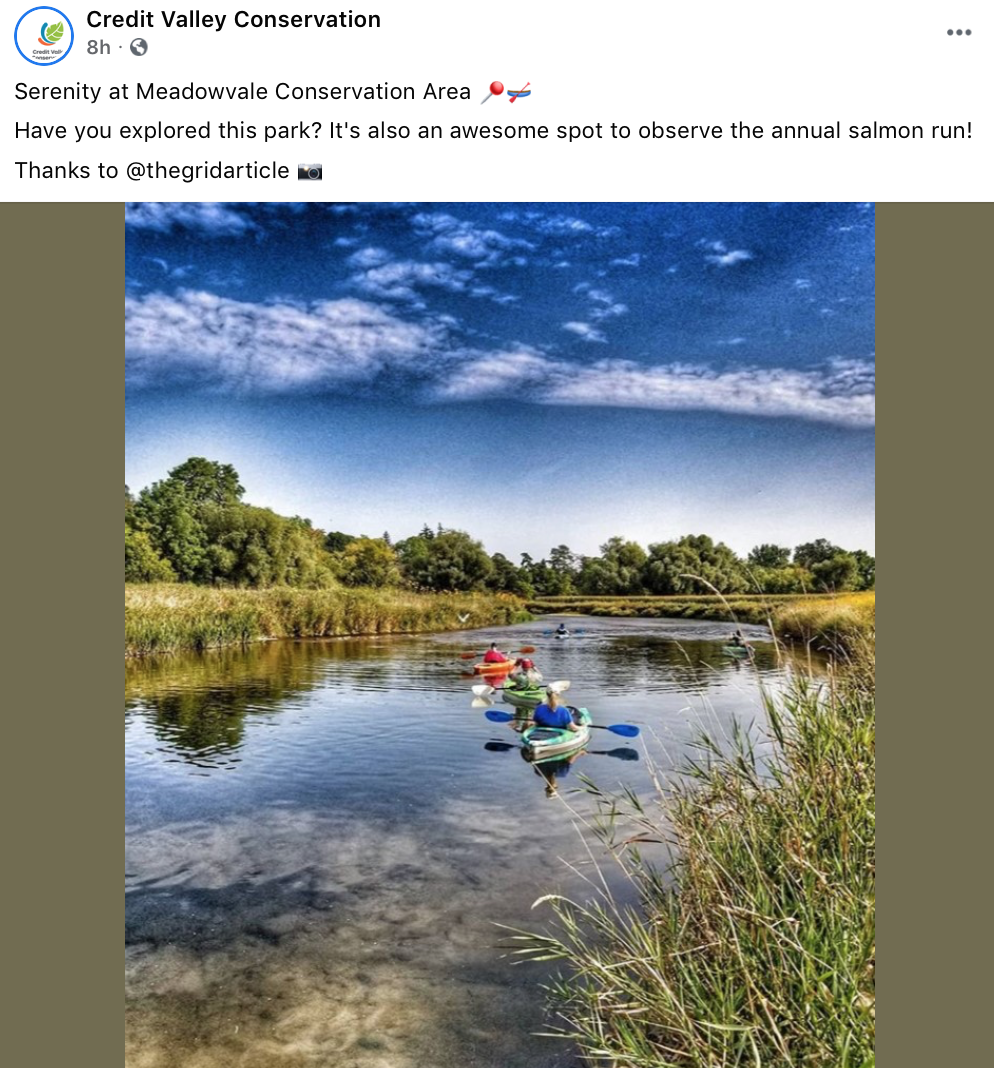 今年还能看三文鱼洄游吗？励志大神快来了！