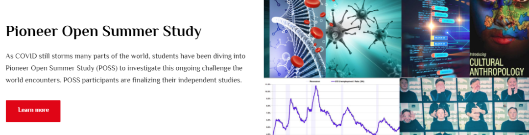 精致的“爬藤主义”：迷信推荐信，考试至上，扎堆儿做科研