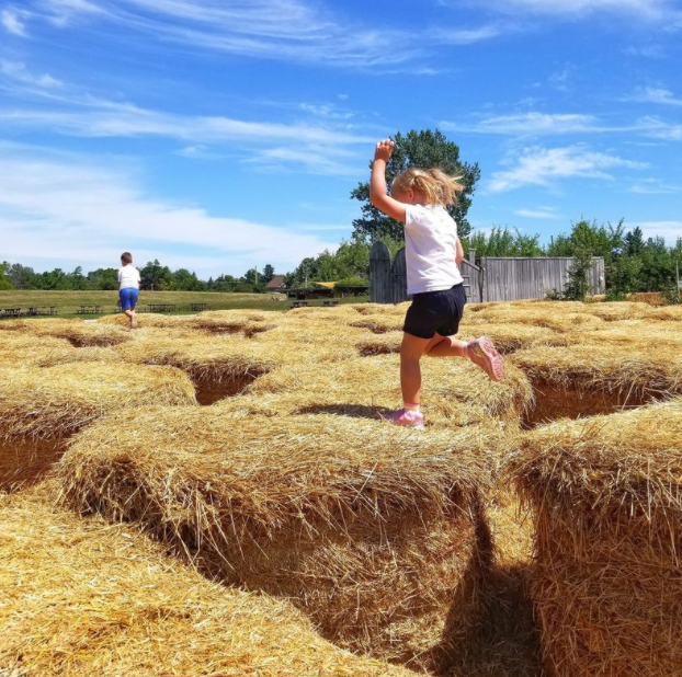 多伦多摘苹果农场盘点：Brooks Farm妥妥C位！周周有主题！