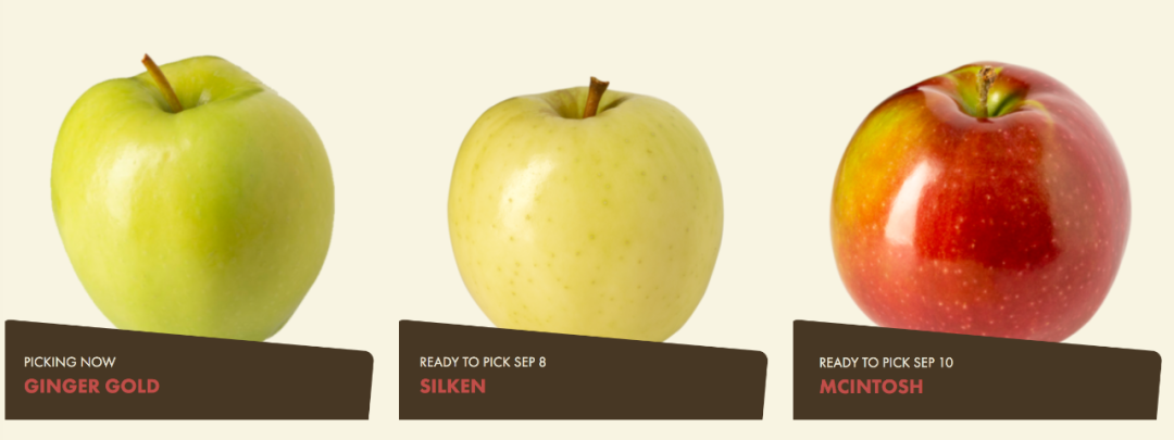 多伦多摘苹果农场盘点：Brooks Farm妥妥C位！周周有主题！