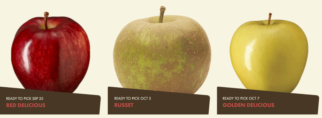 多伦多摘苹果农场盘点：Brooks Farm妥妥C位！周周有主题！