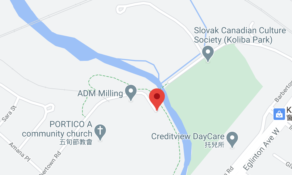 今年还能看三文鱼洄游吗？励志大神快来了！