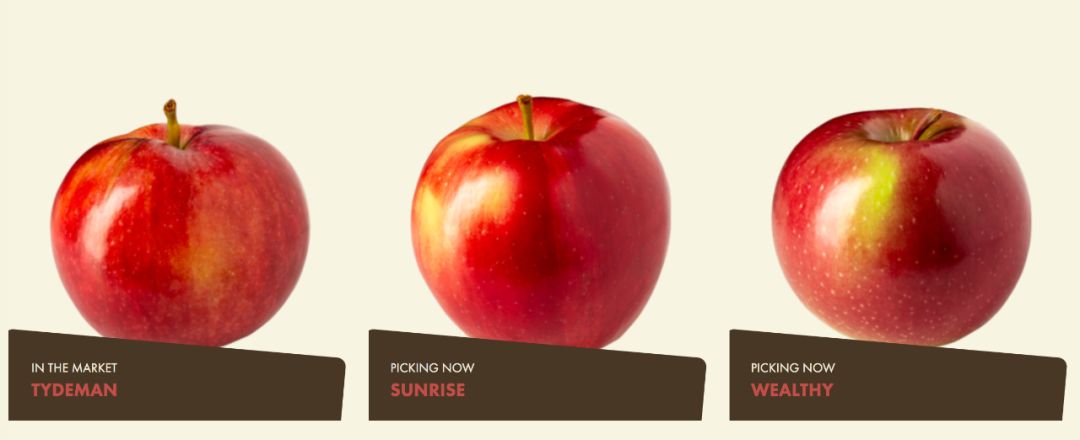 多伦多摘苹果农场盘点：Brooks Farm妥妥C位！周周有主题！