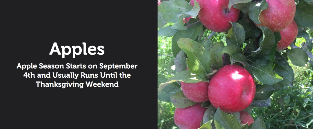 多伦多摘苹果农场盘点：Brooks Farm妥妥C位！周周有主题！