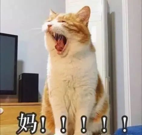 凌晨2点老母亲在微信群大喊:孩子的网课老师是谁? 凌晨2点老母亲在微信群大喊:孩子的网课老师是谁?