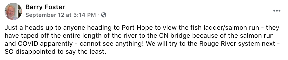 今年还能看三文鱼洄游吗？励志大神快来了！
