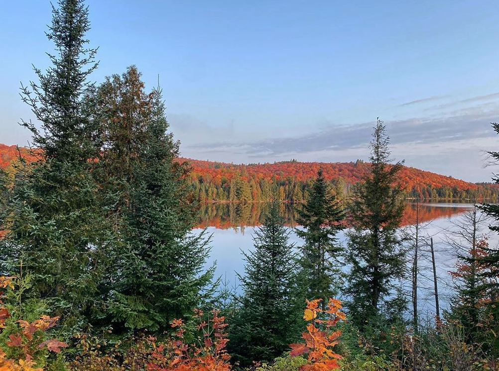 去早了绿，去晚了秃：阿岗昆最美的枫景怎么赏？