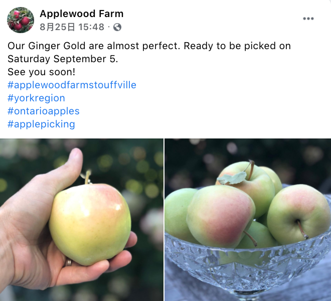 多伦多摘苹果农场盘点：Brooks Farm妥妥C位！周周有主题！