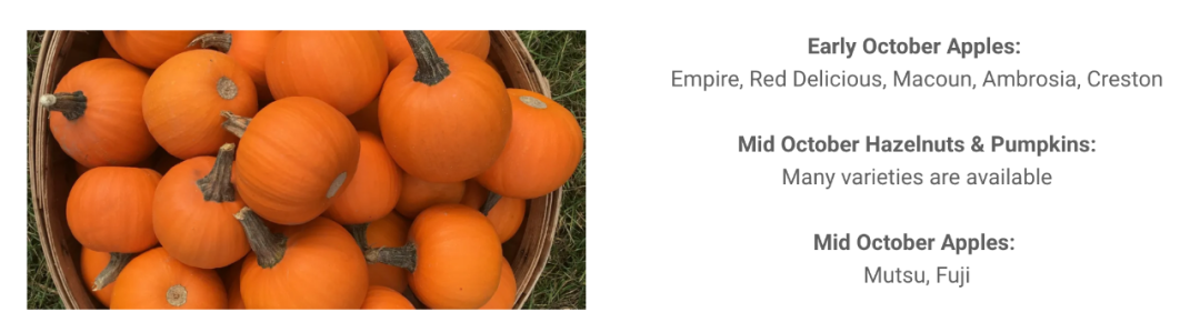 多伦多摘苹果农场盘点：Brooks Farm妥妥C位！周周有主题！