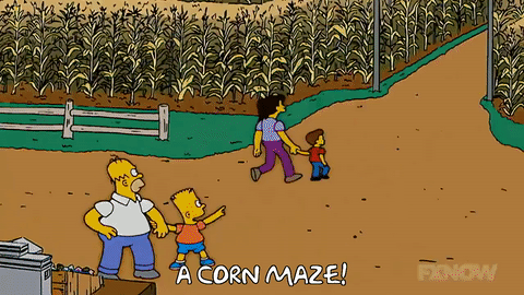 承包你的秋天！2020多伦多周边玉米迷宫+摘南瓜农场盘点！