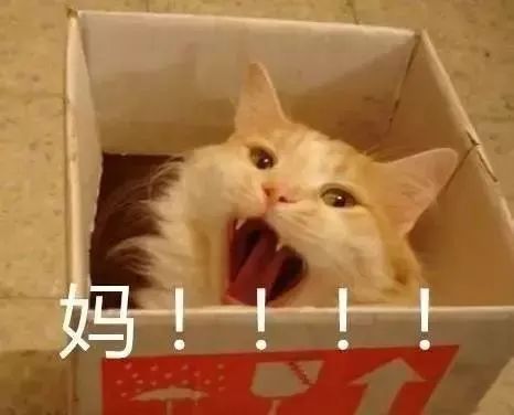 凌晨2点老母亲在微信群大喊:孩子的网课老师是谁? 凌晨2点老母亲在微信群大喊:孩子的网课老师是谁?
