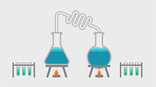 精致的“爬藤主义”：迷信推荐信，考试至上，扎堆儿做科研