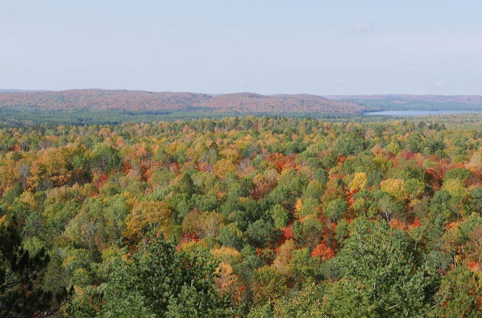 去早了绿，去晚了秃：阿岗昆最美的枫景怎么赏？