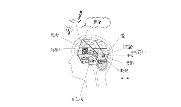 哈佛脑科学专家揭开孩子不爱学习的真相：你是哪种父母决定了孩子有怎样的大脑！