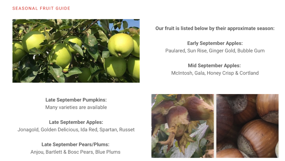 多伦多摘苹果农场盘点：Brooks Farm妥妥C位！周周有主题！