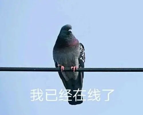 生娃像渡劫，养娃如取经：老母亲找组织！这里有人求勾引！