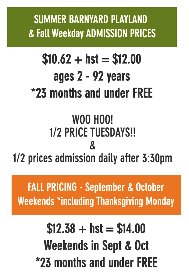 多伦多摘苹果农场盘点：Brooks Farm妥妥C位！周周有主题！