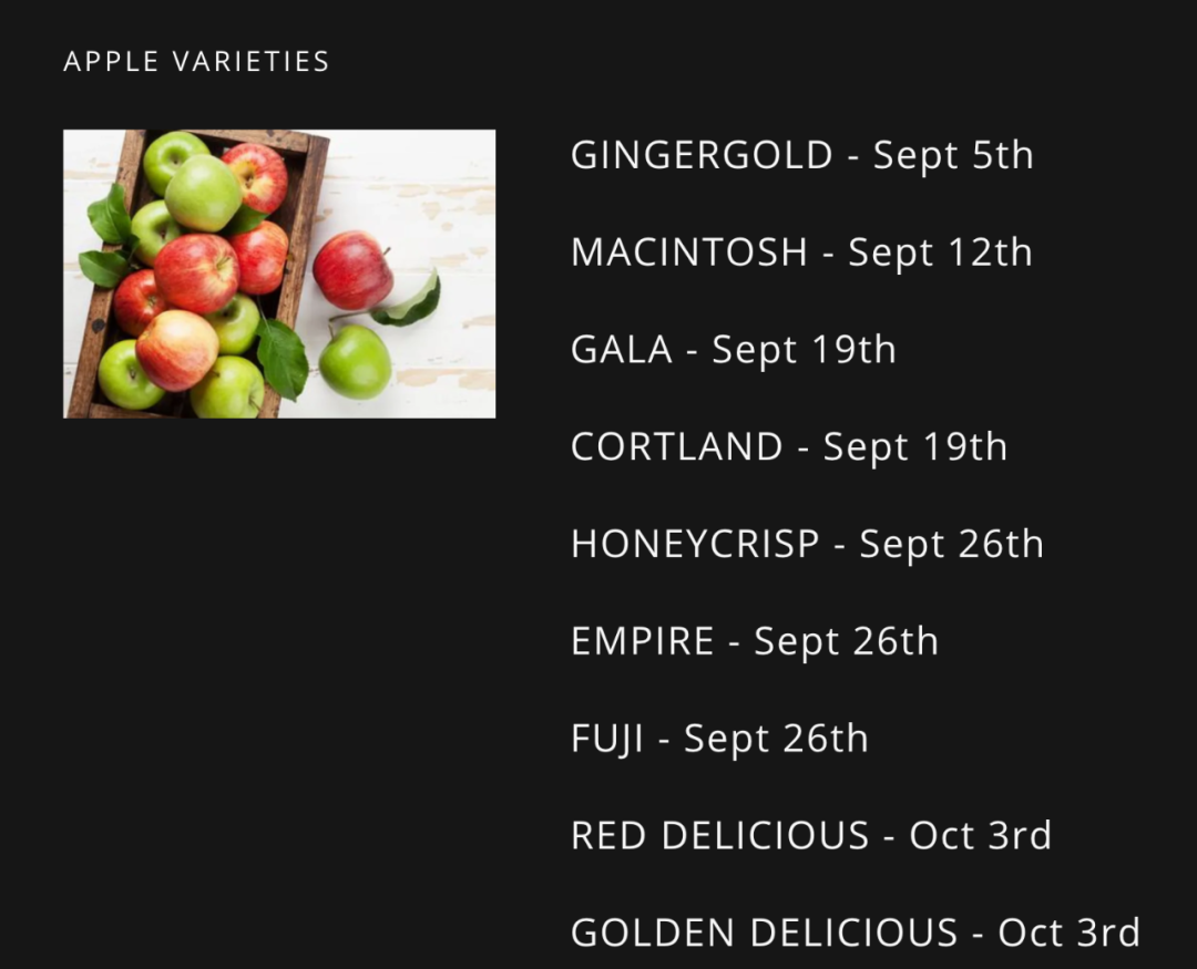 多伦多摘苹果农场盘点：Brooks Farm妥妥C位！周周有主题！