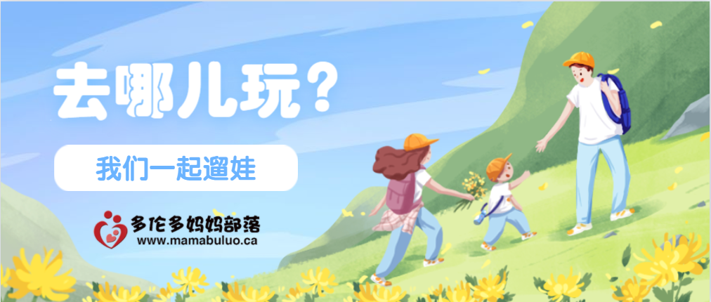稳中带皮，皮中带戏：老母亲找组织！这里有人求勾引！
