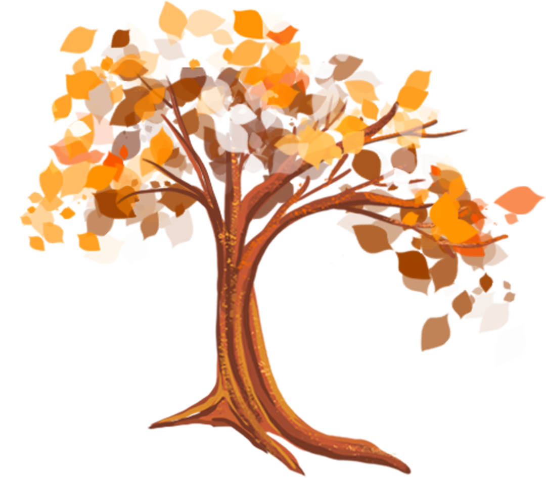 阿岗昆枫叶红了：100%树叶变色，落叶率10%！